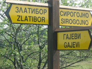 zlatibor jun 2009 390