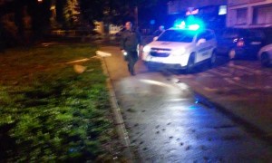 policija noc