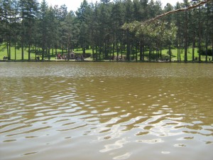 zlatibor jun 2009 096