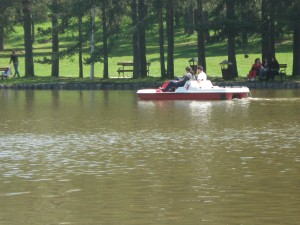 zlatibor jun 2009 111