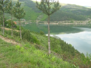 zavojsko jezero